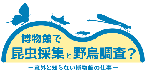 博物館で昆虫採集と野鳥調査？〜意外と知らない博物館の仕事