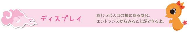ディスプレイ