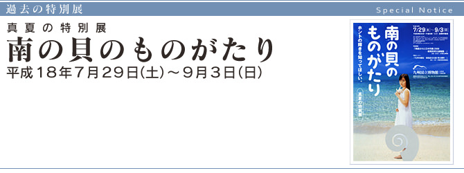 真夏の特別展『 南の貝のものがたり 』 