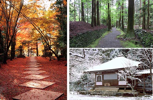 高山寺の境内