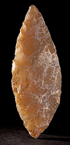 月桂樹の葉の形の石器