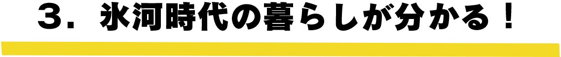 氷河時代の暮らしが分かる！