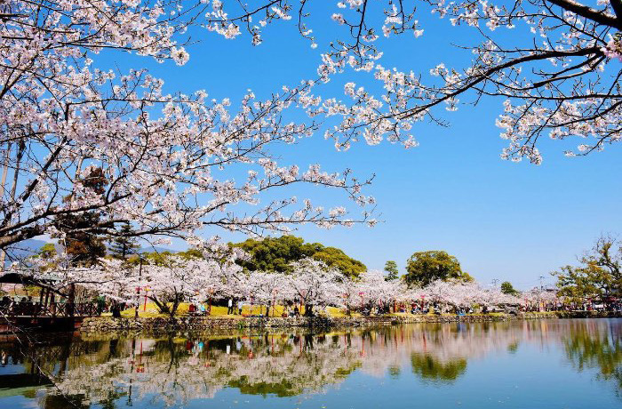 小城市