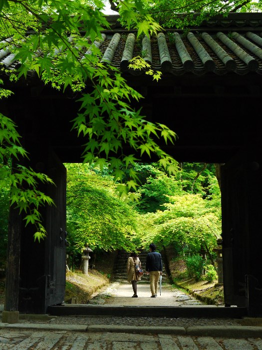 朝倉市秋月