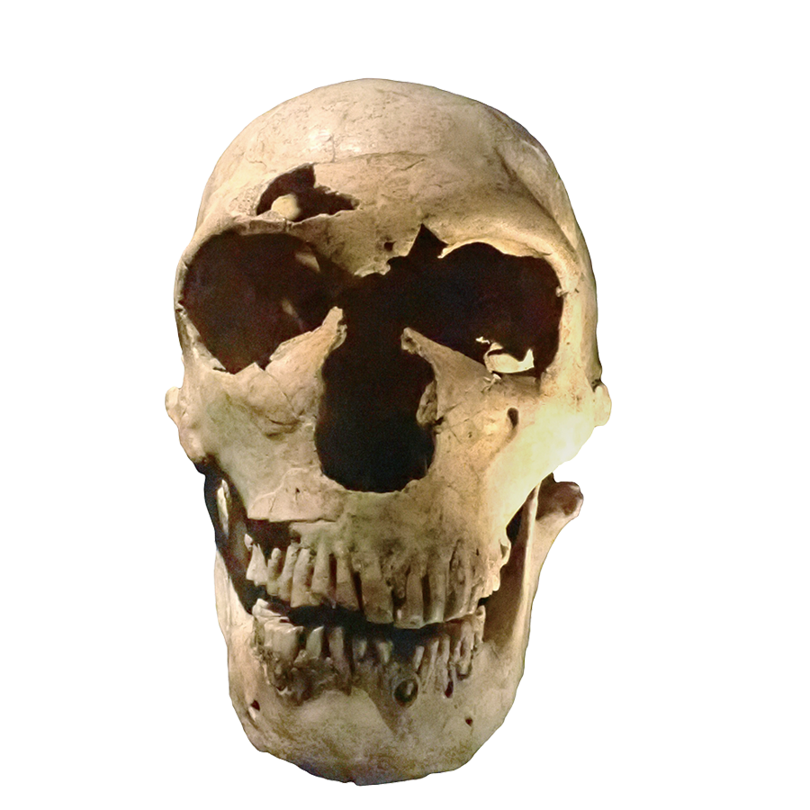 ネアンデルタール人頭骨（ラ・フェラシー1号）