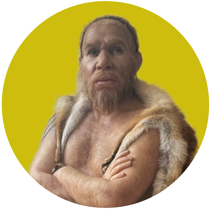 ネアンデルタール人復元模型