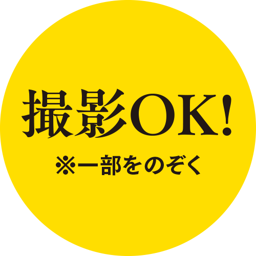 写真撮影OK
