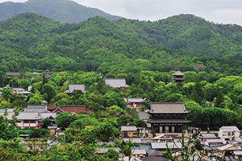 仁和寺遠景