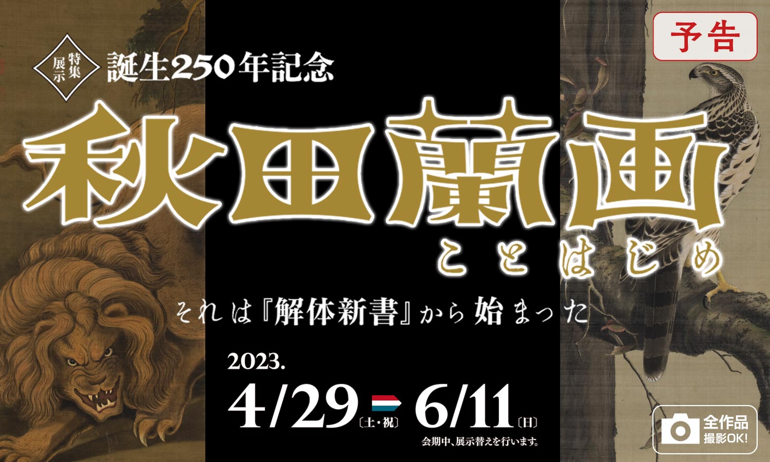 秋田蘭画ことはじめ - それは『解体新書』から始まった - 