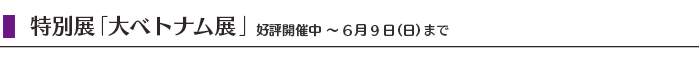 $BFCJLE8!VBg%Y%H%J%`E8!W9%I>3+:ECf(B6$B7n(B9$BF|!JF|!K$^$G(B